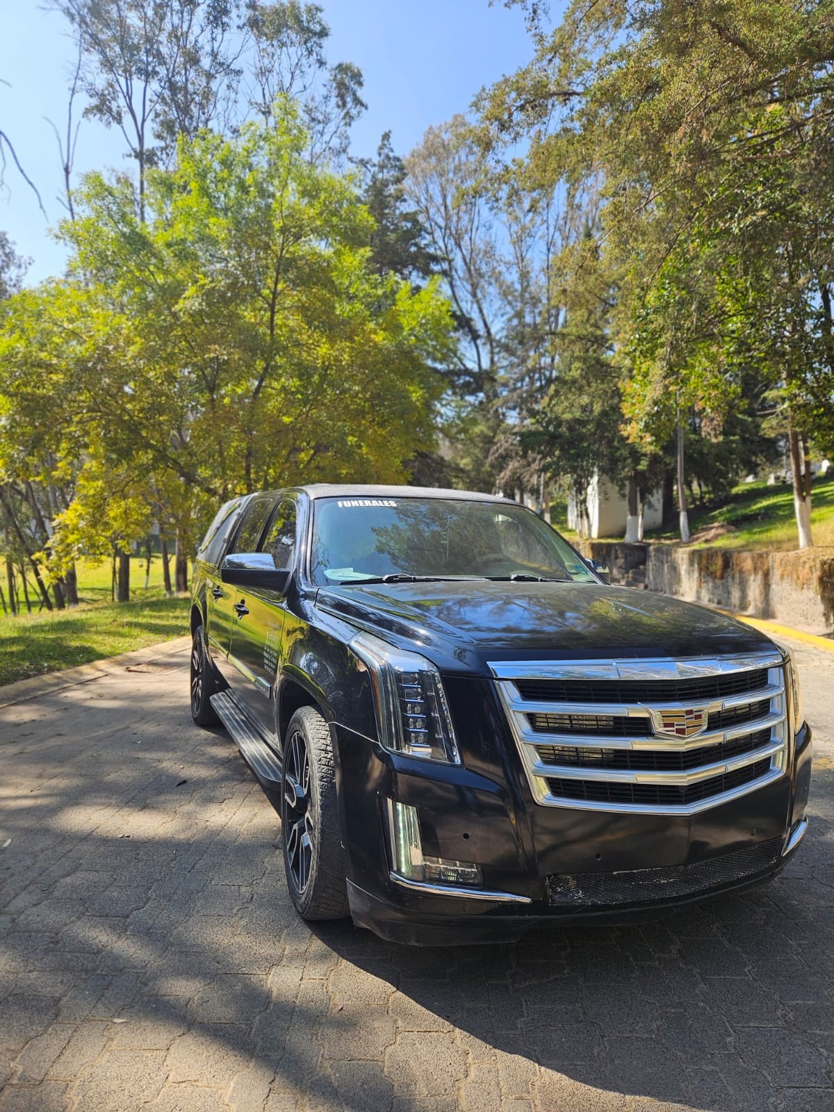Carroza de lujo Cadillac